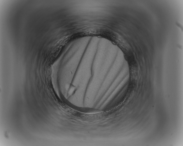 X0000097960029200804141038