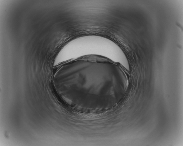 X0000097960031200804141038