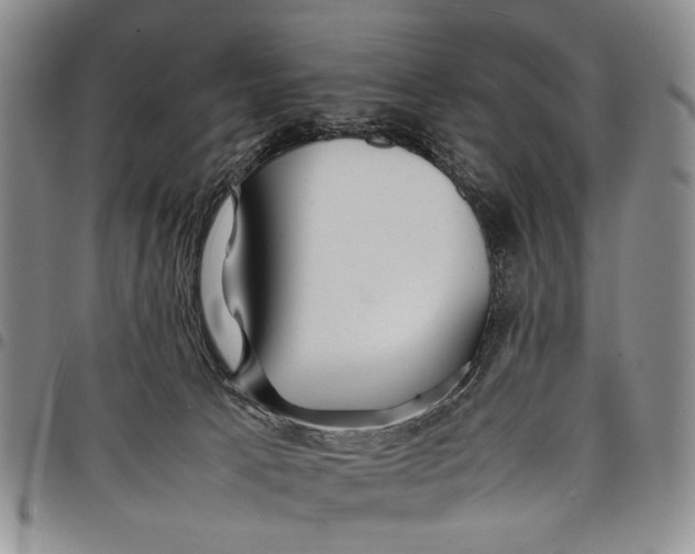 X0000097960033200804141038