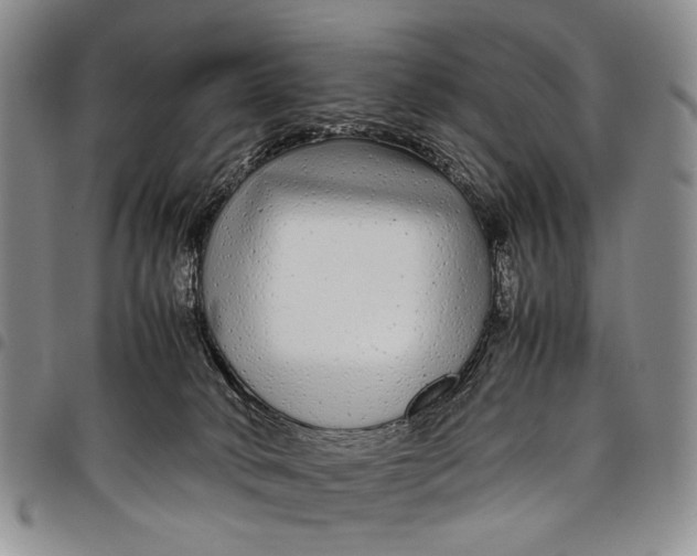 X0000097960034200804141038