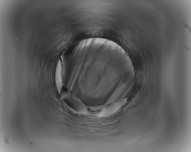 X0000097960039200804141038