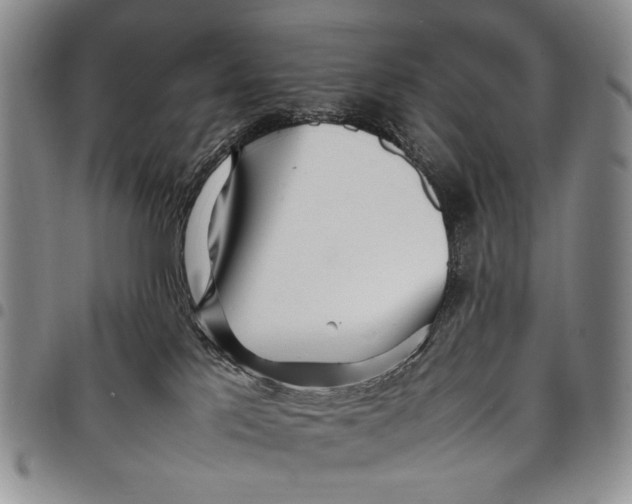X0000097960041200804141038
