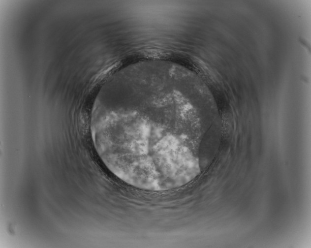 X0000097960043200804141038