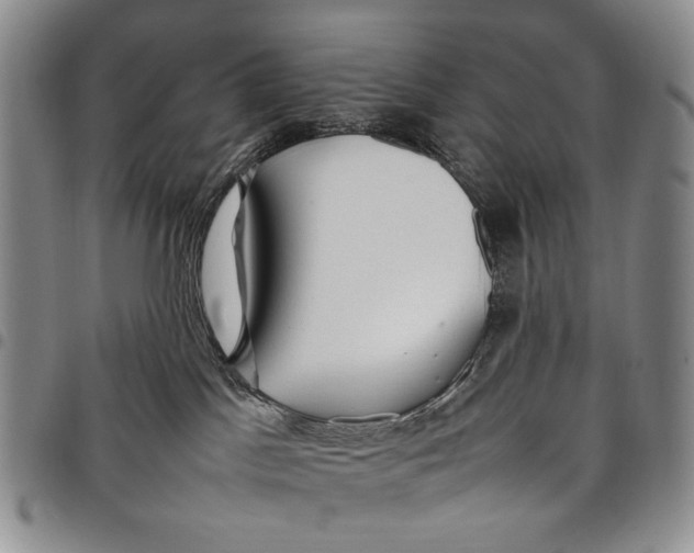 X0000097960045200804141038