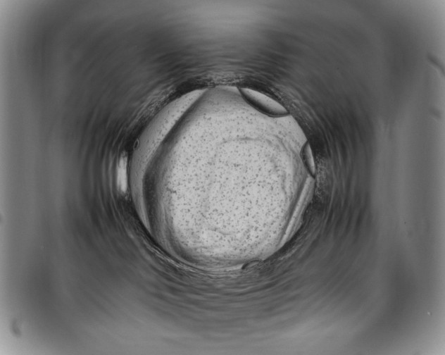 X0000097960046200804141038