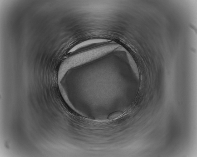 X0000097960048200804141038