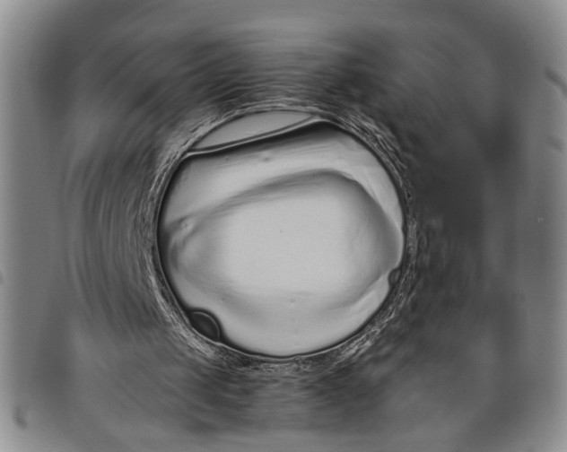 X0000097960049200804141037