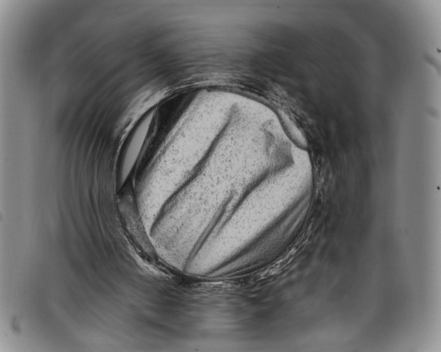 X0000097960050200804141037