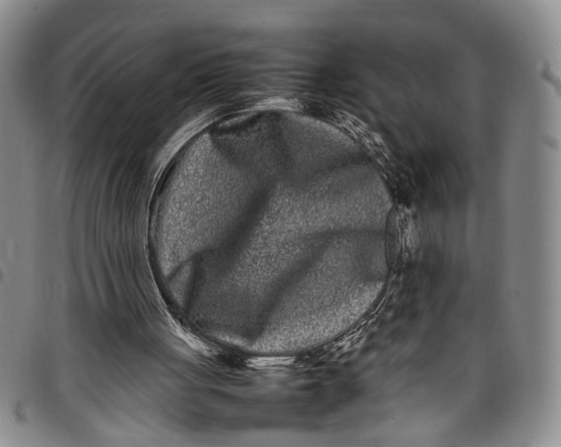 X0000097960051200804141037