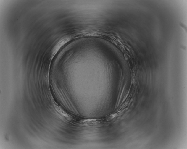 X0000097960052200804141037