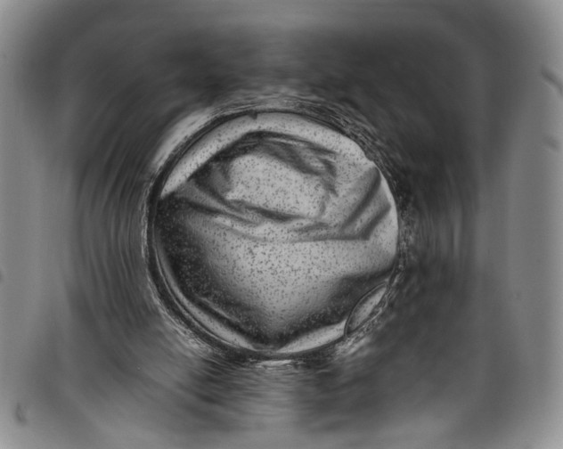 X0000097960054200804141037