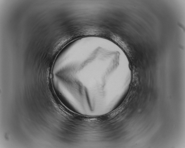 X0000097960058200804141037