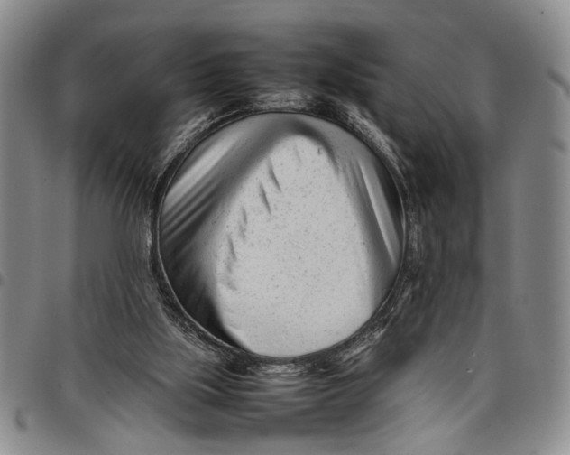 X0000097960059200804141037