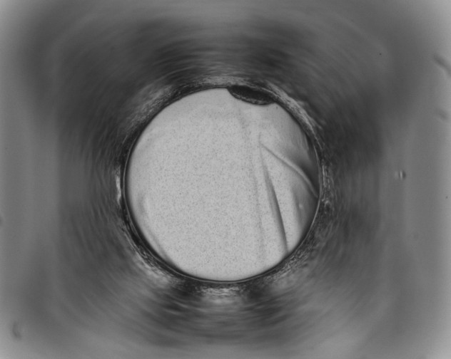 X0000097960061200804141037
