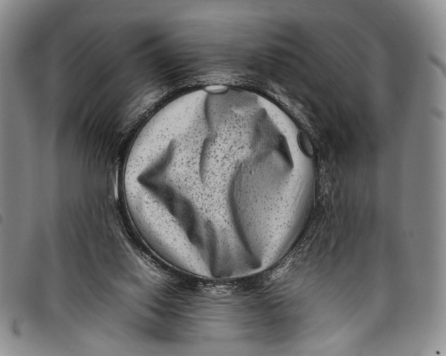 X0000097960062200804141037