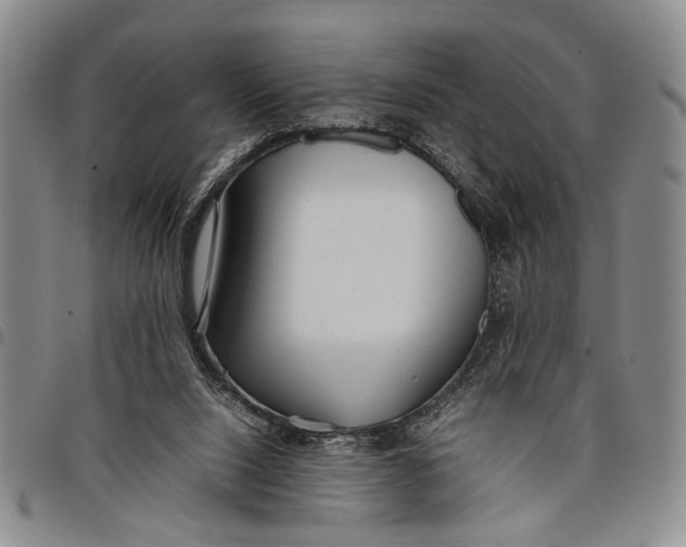 X0000097960064200804141037
