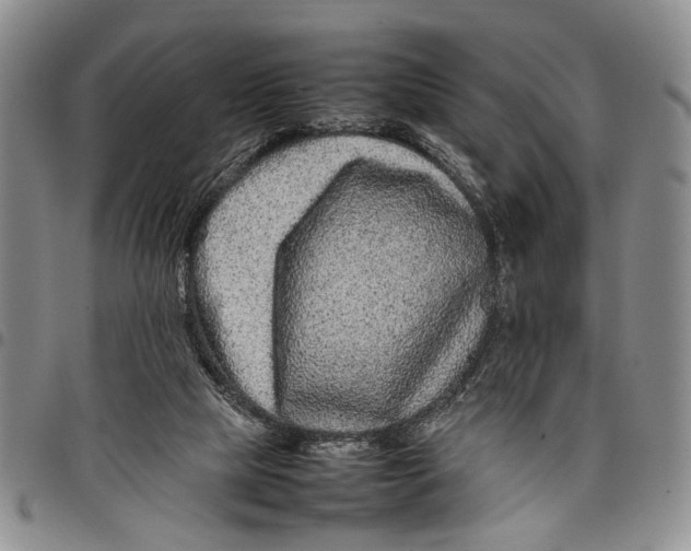 X0000097960065200804141037