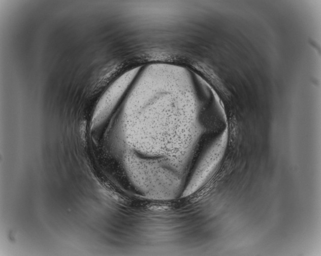 X0000097960066200804141037