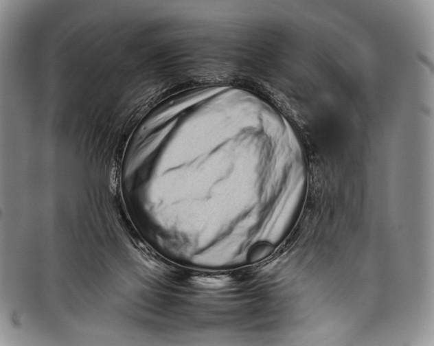 X0000097960069200804141038