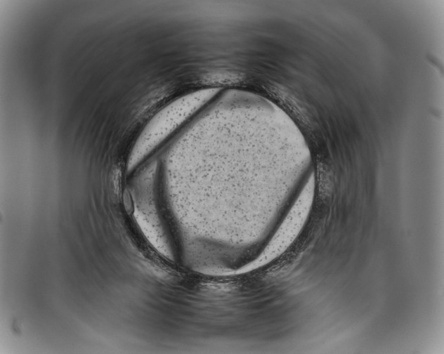 X0000097960071200804141038