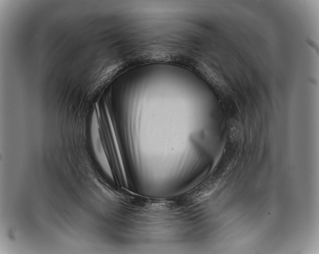 X0000097960072200804141038