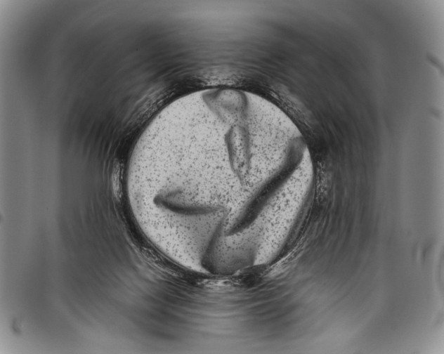 X0000097960074200804141038