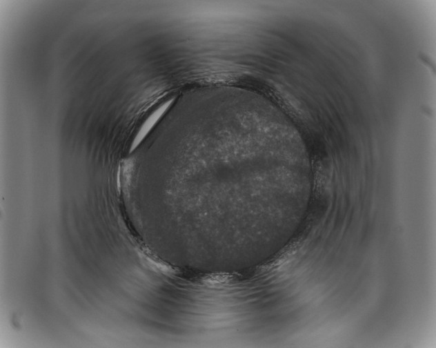 X0000097960076200804141038