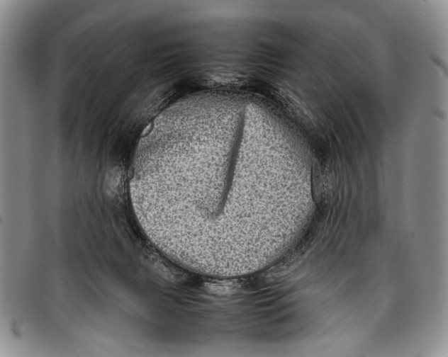 X0000097960079200804141038