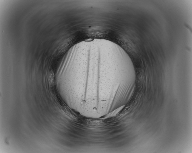 X0000097960081200804141038