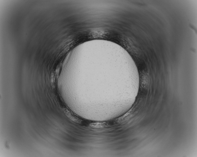 X0000097960082200804141038