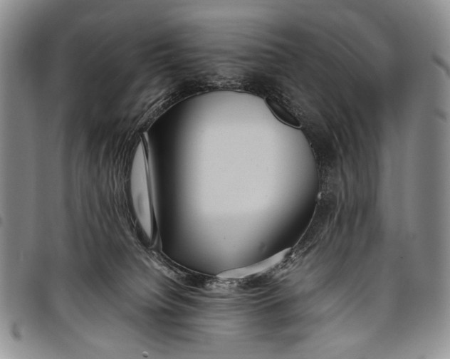 X0000097960084200804141038