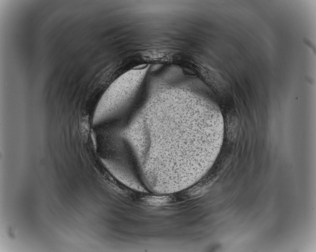 X0000097960085200804141038