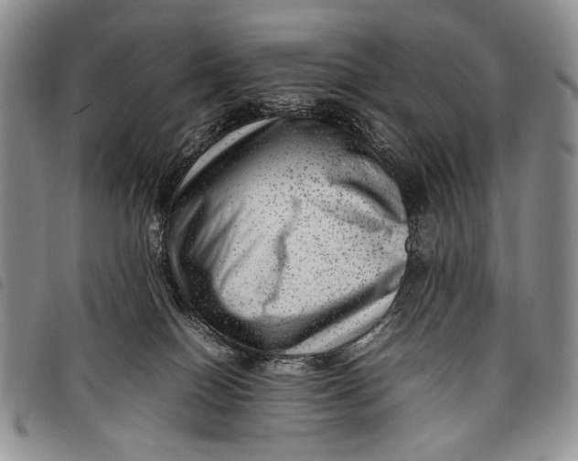X0000097960086200804141038