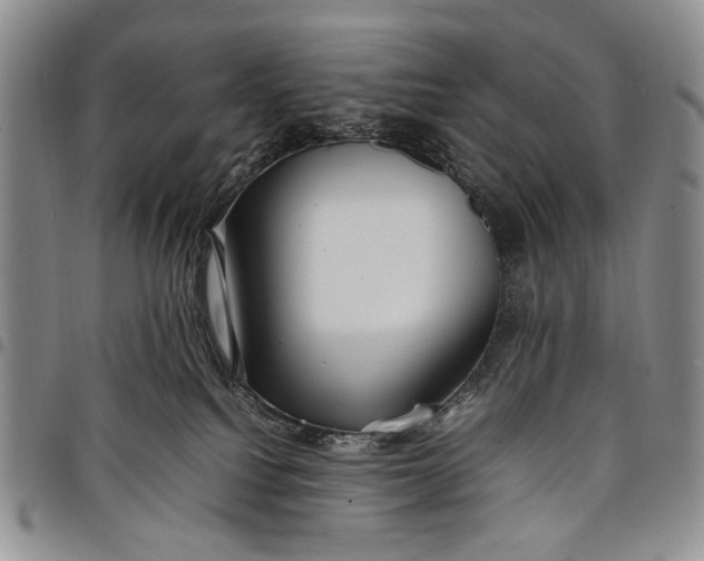 X0000097960088200804141038
