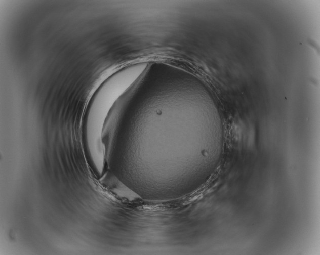 X0000097960100200804141037