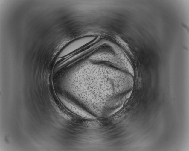 X0000097960106200804141037