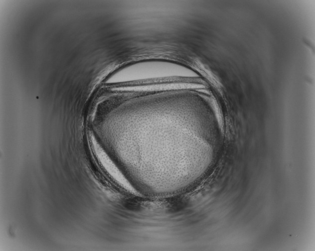 X0000097960107200804141037