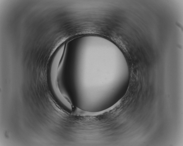 X0000097960108200804141037