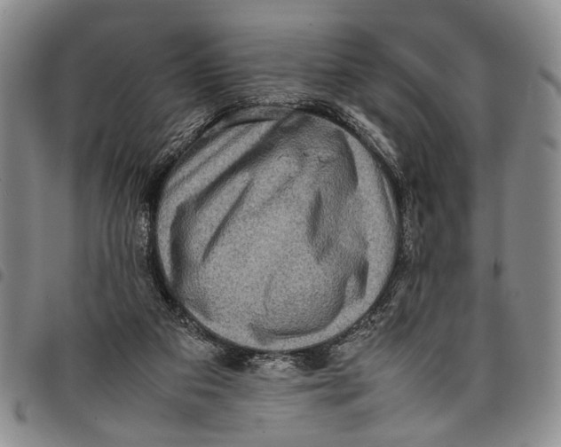 X0000097960113200804141037
