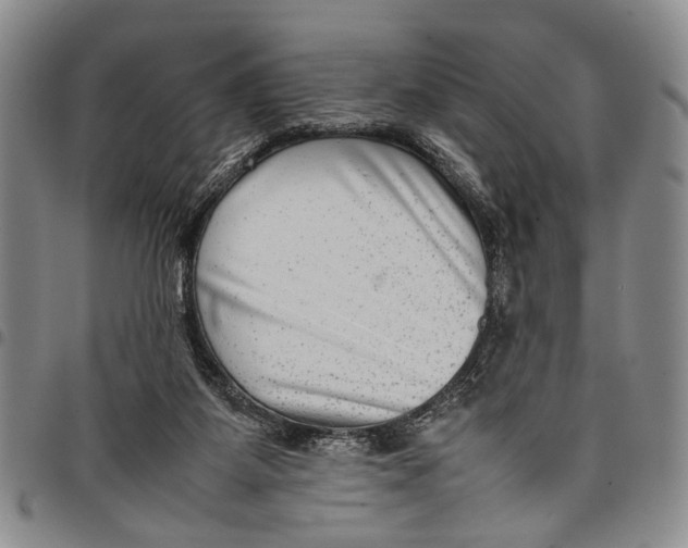 X0000097960115200804141037