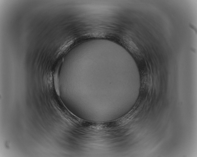 X0000097960120200804141037