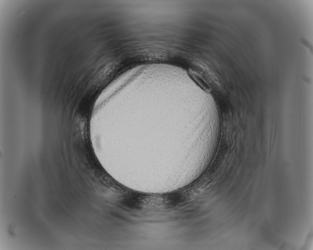 X0000097960123200804141037