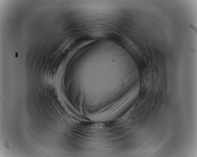 X0000097960124200804141037