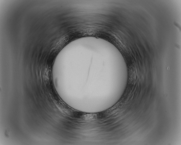 X0000097960126200804141037