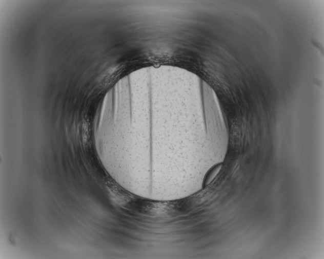 X0000097960130200804141037