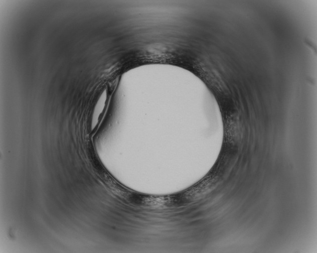 X0000097960131200804141037