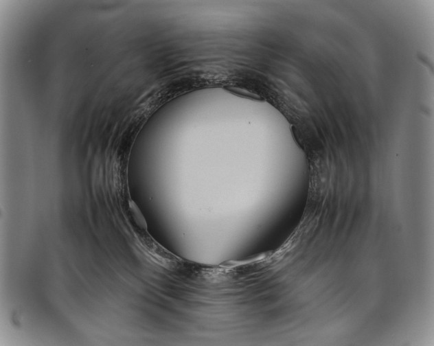 X0000097960136200804141037