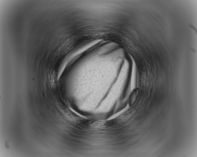 X0000097960138200804141037