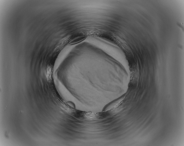 X0000097960142200804141037