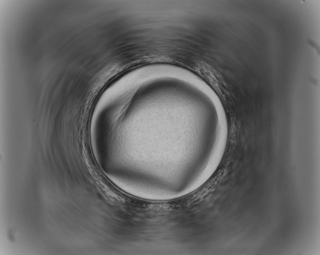 X0000097960145200804141036